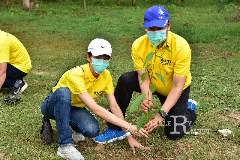 20210526-Tree planting dayt-151.JPG